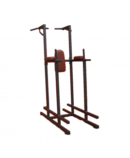 VERTICAL KNEE RAISE BARFIX